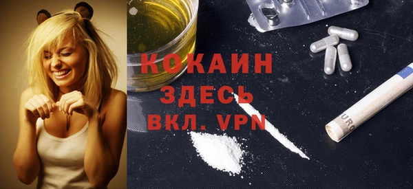 гидра Алексин