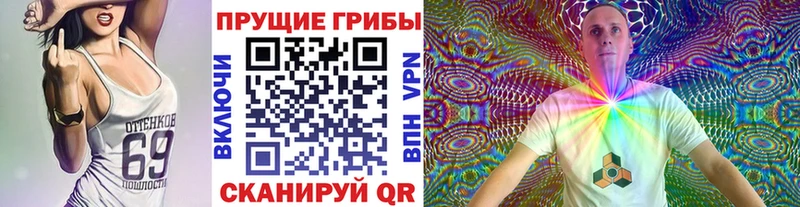 ОМГ ОМГ tor  Ступино  Галлюциногенные грибы Magic Shrooms  как найти закладки 